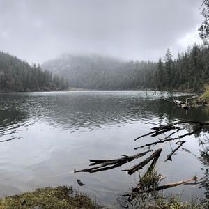 Meet your Posher, Charles